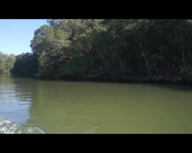 Karayip gösterimler