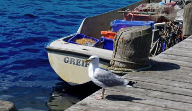 travemuende izlenimleri