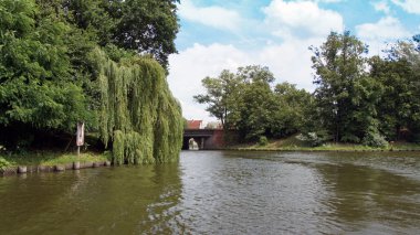 Mantova gösterimler