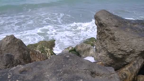 Vagues