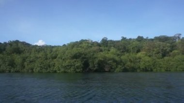 Orta Amerika gösterimler