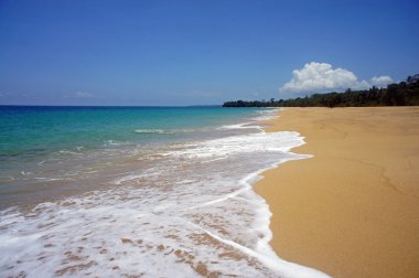 Kosta Rika gösterimler