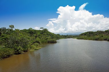 Kosta Rika gösterimler