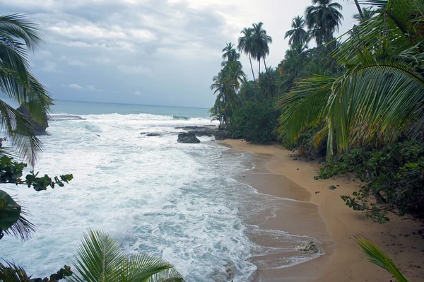 Impressionen aus Costa Rica — Stockfoto