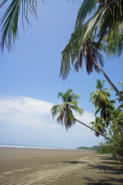 Prachtige costa rica — Stockfoto