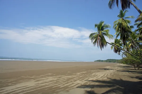 Maravillosa costa rica — Foto de Stock