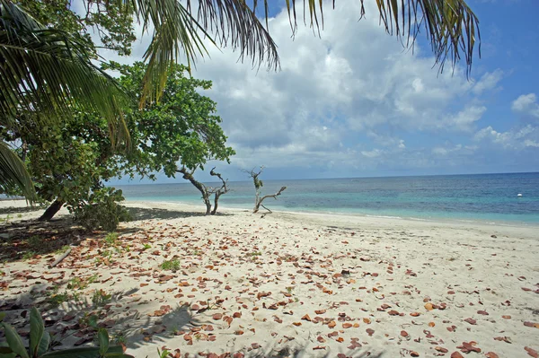 Vacances dans les Caraïbes — Photo