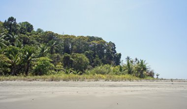 グローブ。フラットな近代的な web ボタンおよびテキストのスペース