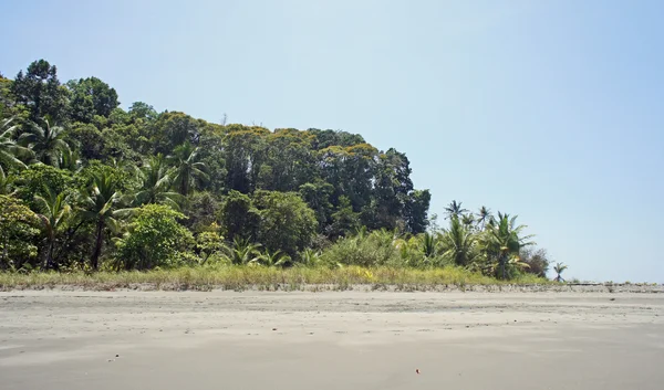 グローブ。フラットな近代的な web ボタンおよびテキストのスペース