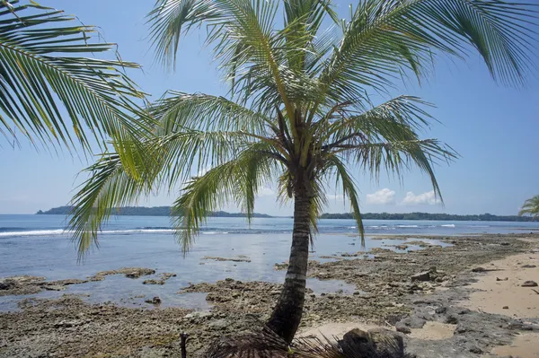 Costa rica zomer — Stockfoto