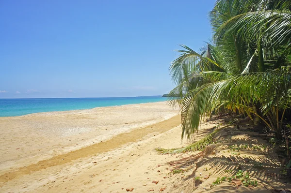 Costa rica zomer — Stockfoto