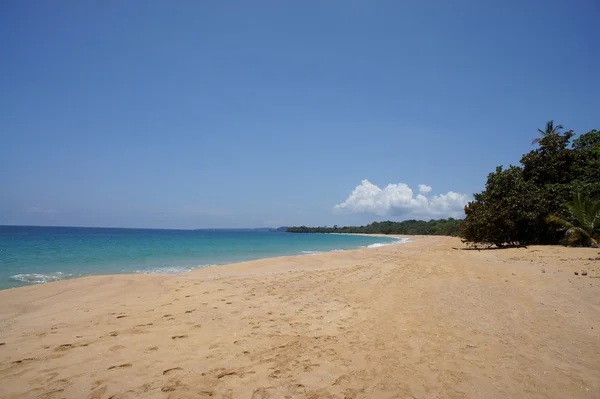 Costa rica summer — Stock Photo, Image