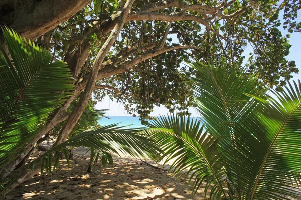 Costa rica summer — Stock Photo, Image