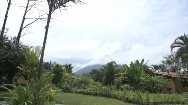 Indrukken uit costa rica — Stockvideo