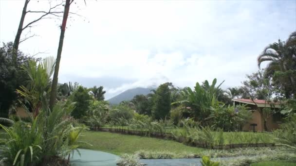 Impressionen aus Costa Rica — Stockvideo