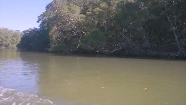 impressions de costa rica 