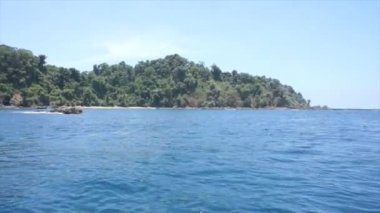 Karayip gösterimler