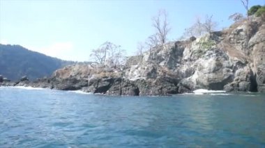Karayip gösterimler
