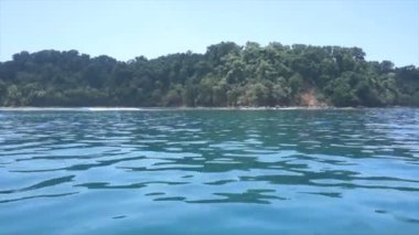 Karayip gösterimler