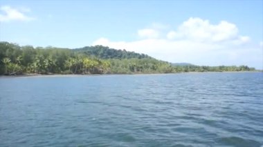 Karayip gösterimler