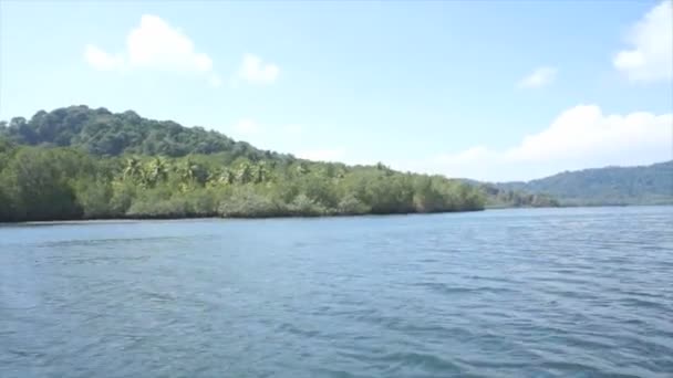 Impresiones caribeñas — Vídeo de stock