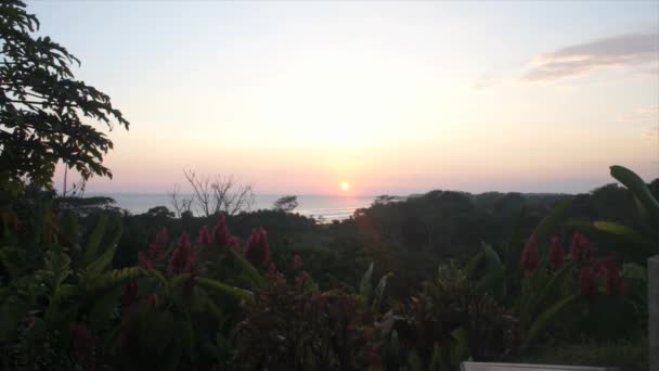 Caribbean sunset — Stock Video