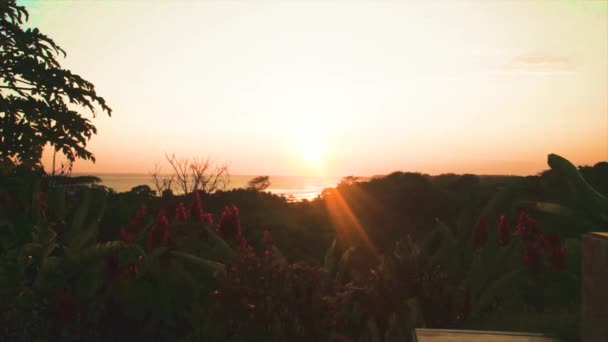 Caribbean sunset — Stock Video