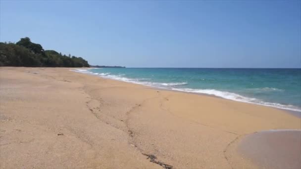 Caribbean beach in panama — Stock Video