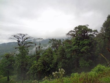 Kosta Rika gösterimler