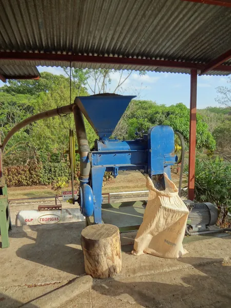 Kaffee aus Costa Rica — Stockfoto