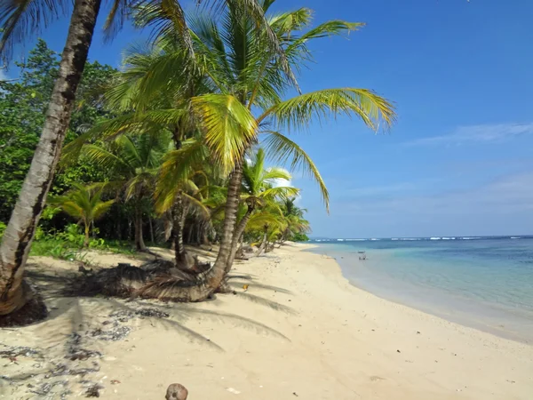 Пляжі від Коста-Ріки — стокове фото