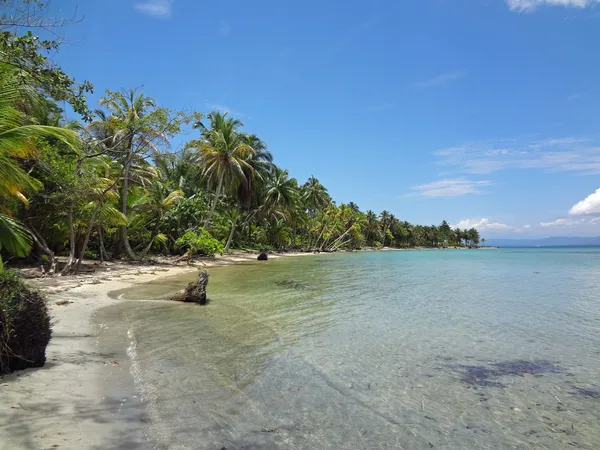 Impresiones de costa rica — Foto de Stock