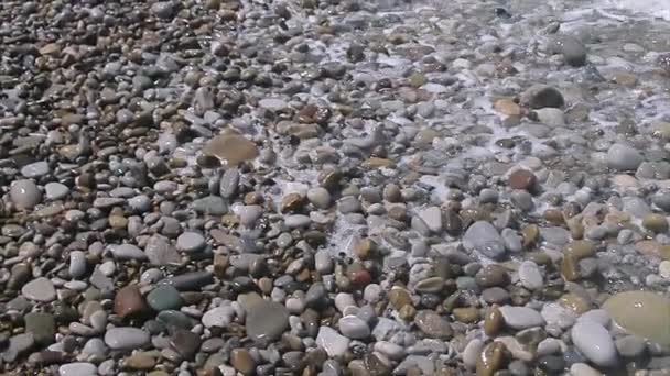 Каменное побережье — стоковое видео