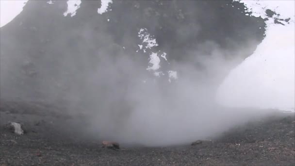 Dammiga vulkan — Stockvideo