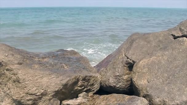 Taşlı sahil — Stok video
