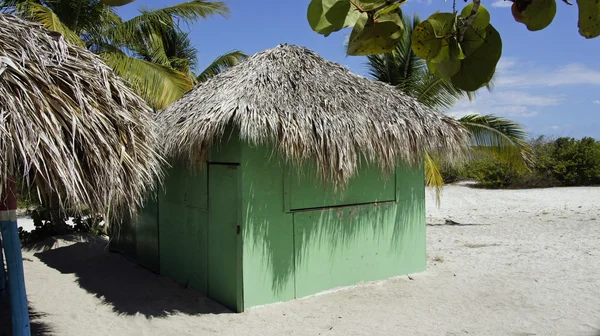 Ilha de Catalina — Fotografia de Stock