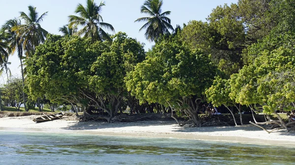 Cayo levantado eiland — Stockfoto