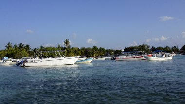 Bayahibe liman