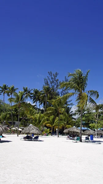 Pláž Boca chica — Stock fotografie