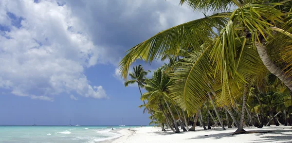 Isla de saona — Foto de Stock