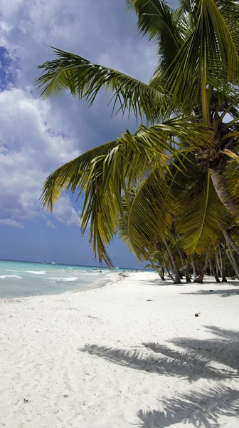 Isla de saona —  Fotos de Stock