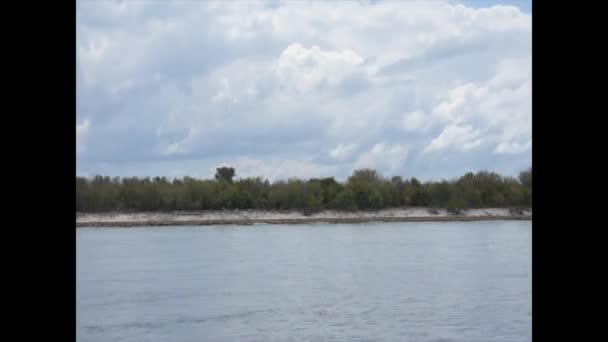 Isla Catalina — Vídeo de stock