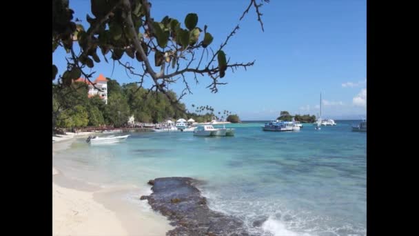 Playa del Caribe — Vídeos de Stock