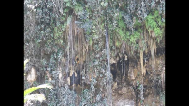 Cachoeira do caribe — Vídeo de Stock