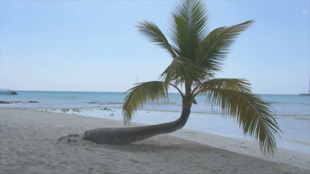 Verano Caribe — Vídeos de Stock