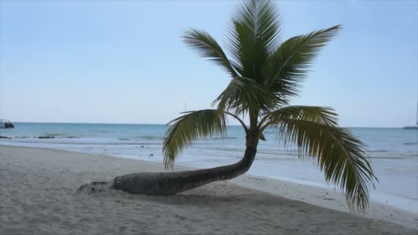 Plage des Caraïbes — Video