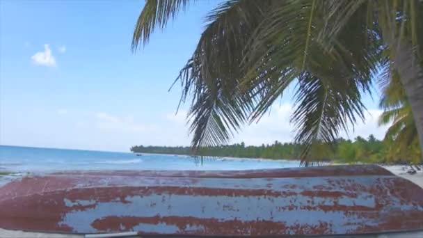 カリブ海のビーチ — ストック動画