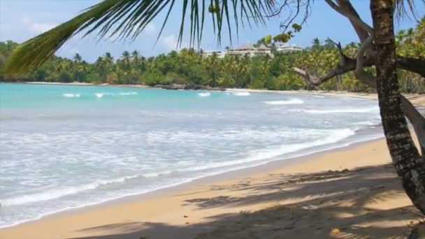 Perfekter karibischer Strand — Stockvideo