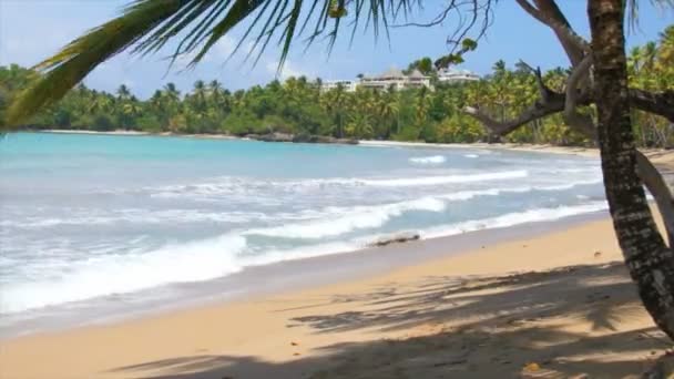 Perfekter karibischer Strand — Stockvideo