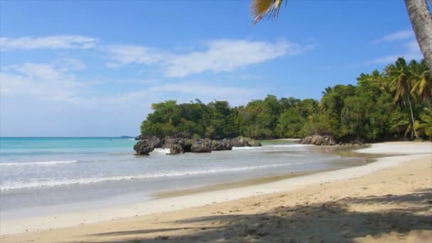 Perfect caribbean beach — Stock Video